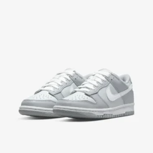 NIKE DUNK LOW GREY DH9765-001